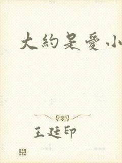 大约是爱小说
