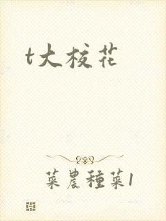 t大校花封面