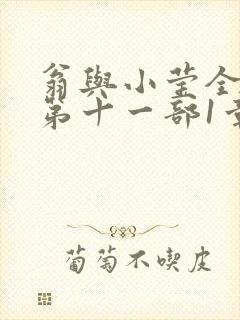 翁与小莹全目录第十一部1章封面
