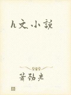 h文小说