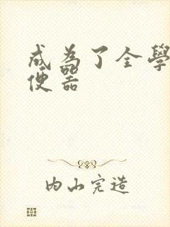 成为了全学校坐便器