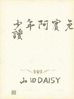 少年阿宾免费阅读