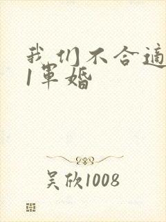 我们不合适1v1军婚