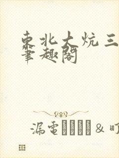东北大炕三部曲笔趣阁