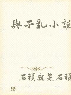 与子乱小说