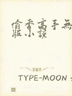 偷香高手无删减版小说