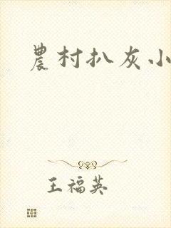 农村扒灰小说封面