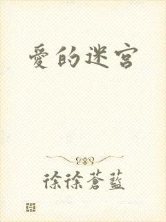 爱的迷宫