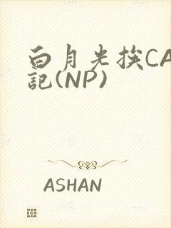 白月光挨CAO记(NP)