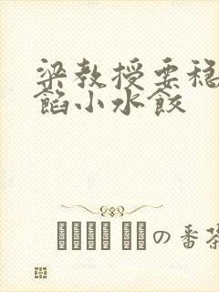 梁教授要稳住肉馅小水饺封面