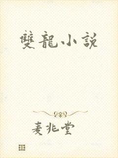 双龙小说