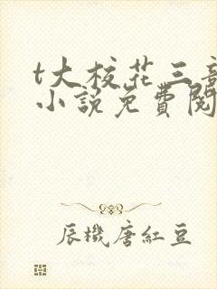 t大校花三部曲小说免费阅读全文