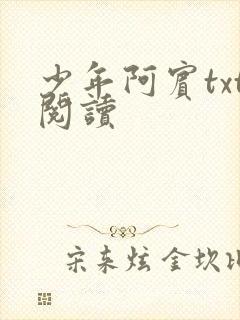 少年阿宾txt阅读