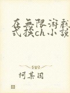 在无限游戏里花式挨ch小说封面