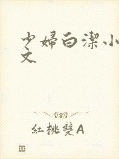 少妇白洁小说全文封面