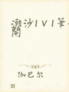 潮沙1∨1笔趣阁