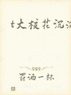 t大校花沉沦封面