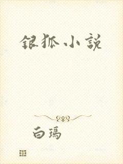 银狐小说封面