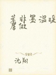 叶非墨温暖在厨房做