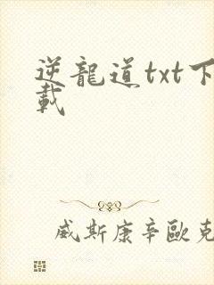 逆龙道txt下载