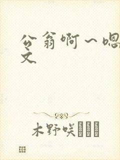 公翁啊～嗯啊h文