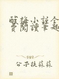 酸梅小说全文免费阅读笔趣阁