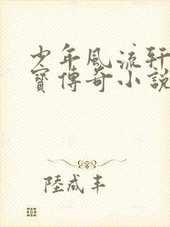 少年风流轩辕大宝传奇小说