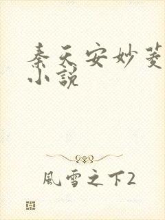 秦天安妙菱修仙小说