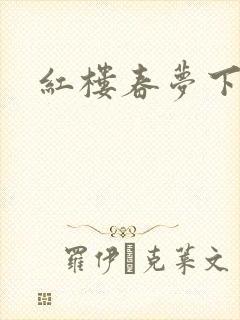 红楼春梦下载封面