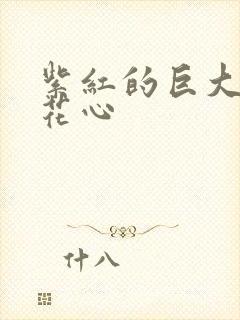 紫红的巨大顶开花心