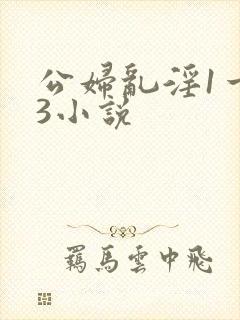 公妇乱淫1一13小说封面
