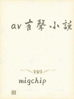 av有声小说