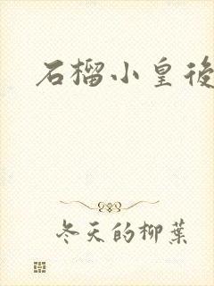 石榴小皇后封面