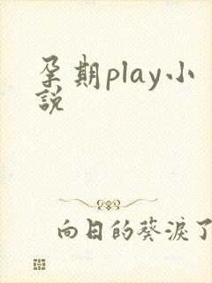 孕期play小说封面