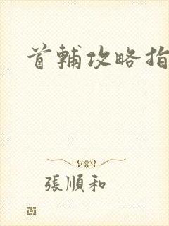 首辅攻略指南封面