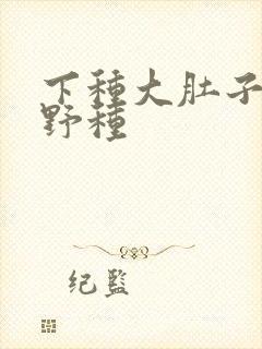 下种大肚子怀孕野种