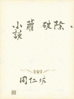 小萝 破除 小说