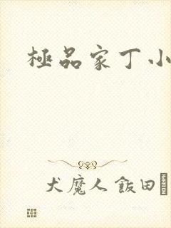 极品家丁小说
