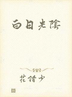白日光阴封面