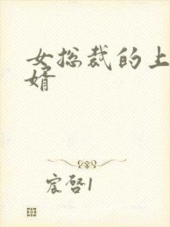 女总裁的上门女婿