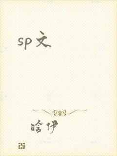 sp文封面
