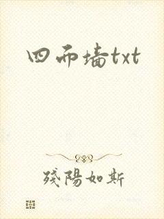 四面墙txt