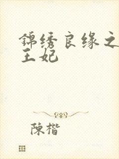 锦绣良缘之北地王妃封面