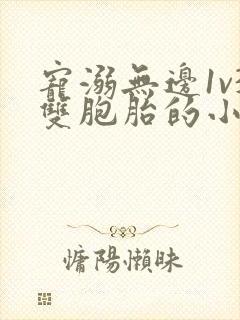 宠溺无边1v3双胞胎的小说