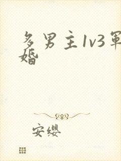多男主1v3军婚