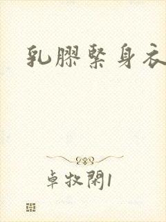 乳胶紧身衣小说封面