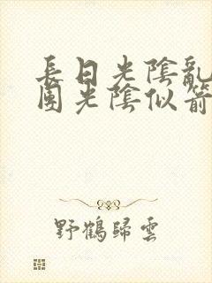 长日光阴乱作一团光阴似箭眇眇