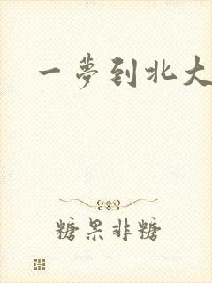一梦到北大封面