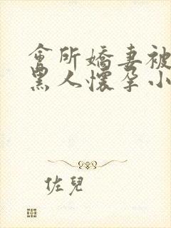 会所娇妻被多个黑人怀孕小说封面