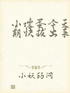 小坏蛋今天危险期快拔出来